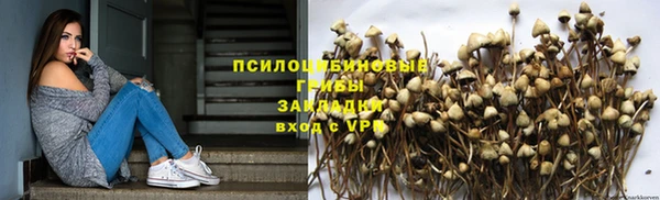 кокс Вяземский