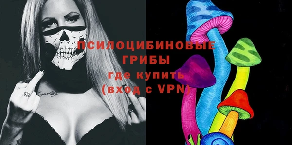 кокс Вяземский