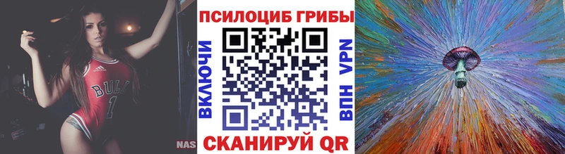 Купить  Красноармейск  Псилоцибиновые грибы Magic Shrooms 